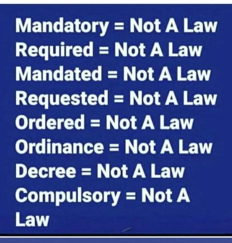 FB_IMG_1628766001075