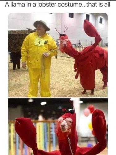 FB_IMG_1629246340793