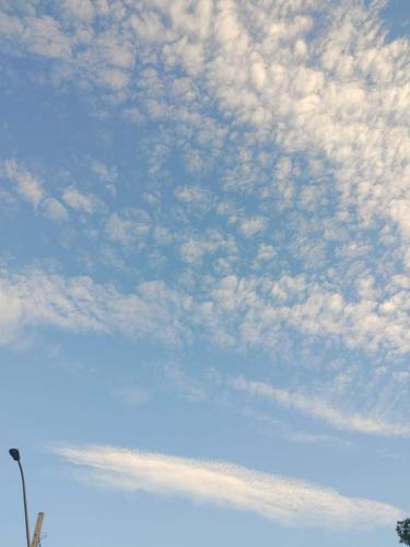 received_873147280274784