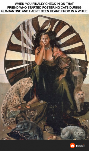 RDT_20210808_0031285316223609553742884