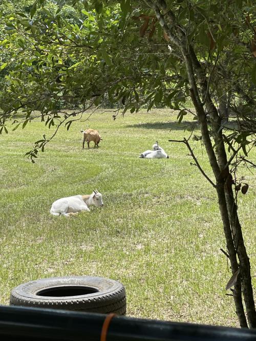 2E3A221F-A10A-411D-B1D2-1848FB92FF9F