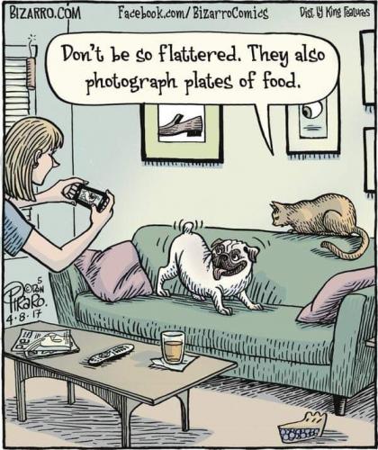 11:11:01 GMT-0400 (EDT)