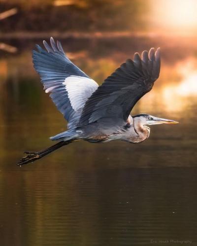 234815778_388010046036008_515954977978825623_n