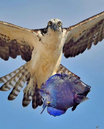 239941680_396709385166074_5697459356817485461_n