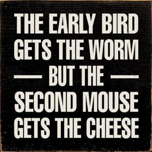 233262404_6626178660741562_6549810142065196555_n