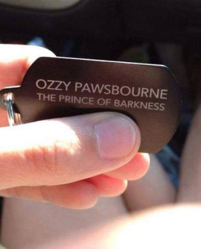 dog tag