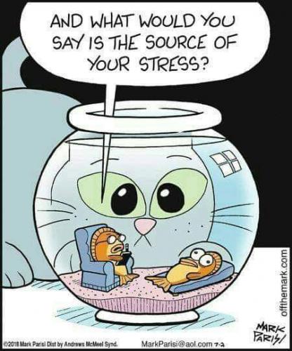 17:58:43 GMT-0700 (PDT)