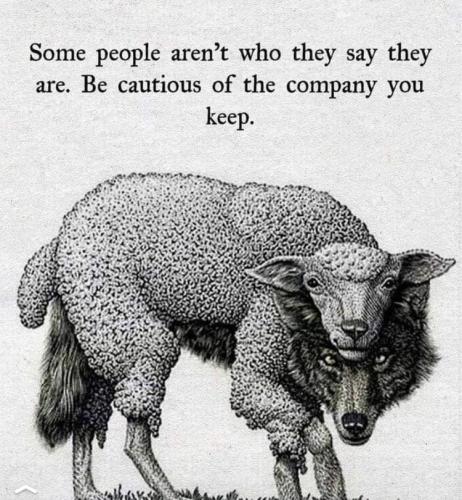 23:30:50 GMT+1200 (NZST).image