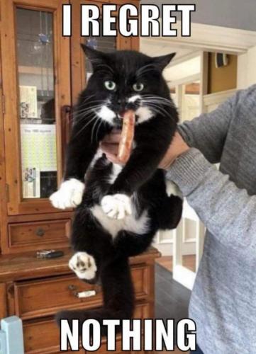 18:27:42 GMT-0400 (EDT)