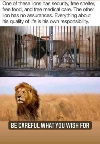 FB_IMG_1628453879543