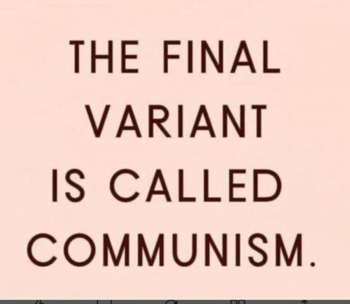 Screenshot_20210816-224606_DuckDuckGo