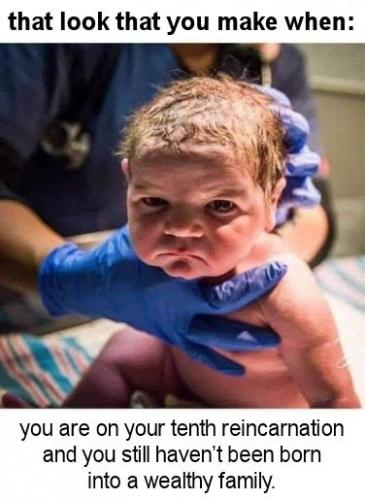 that look that you make when you are on your tenth reincarnation