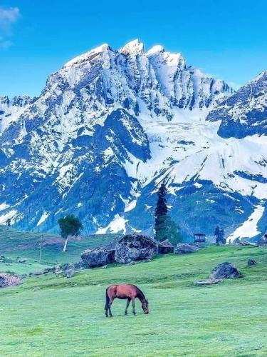 227071506_10227647523279413_3859109881141292248_n