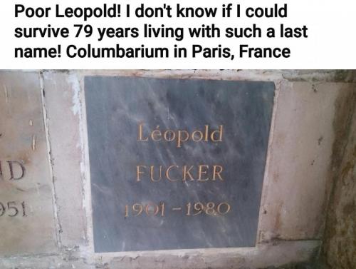 Screenshot_20210815-153356_Reddit