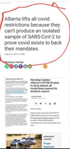 234425303_10158421447300949_6115423060601234001_n