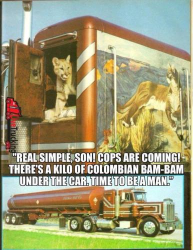 227510131_4211644942205409_3794064763704738899_n