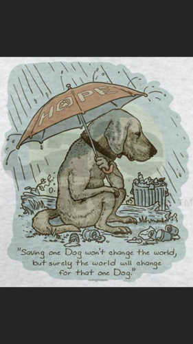 19:59:04 GMT-0500 (CDT).image