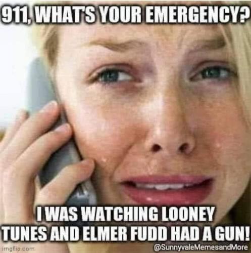 lib 911