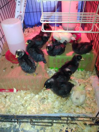 IMG_20210731_150716827