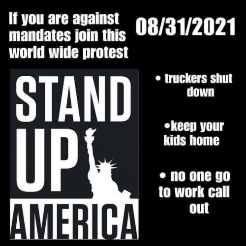 FB_IMG_1630248339868