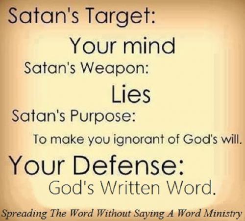 306464_10151794095822662_915643890_n