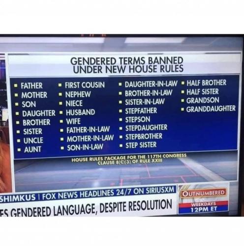 gender terms c
