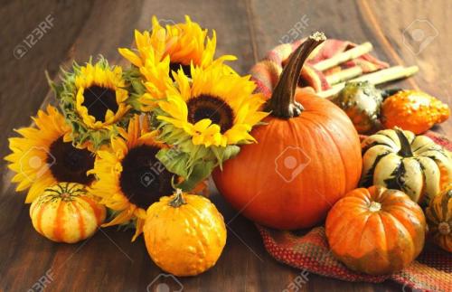 15452466-autumn-pumpkins-and-sunflowers