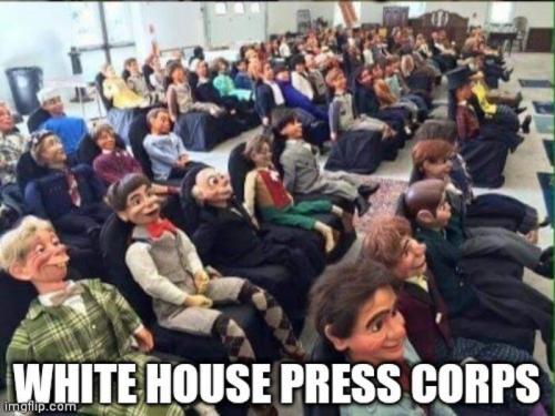 Press Corp