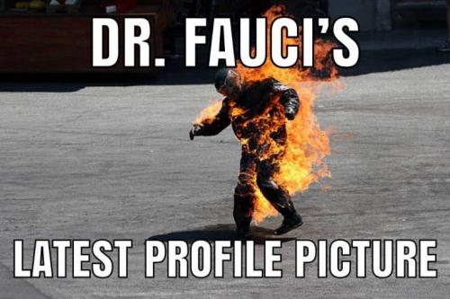 fauci105
