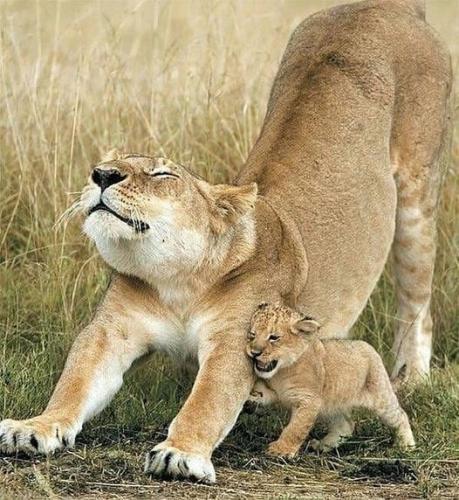 236107680_388115056025507_5696074766417006467_n