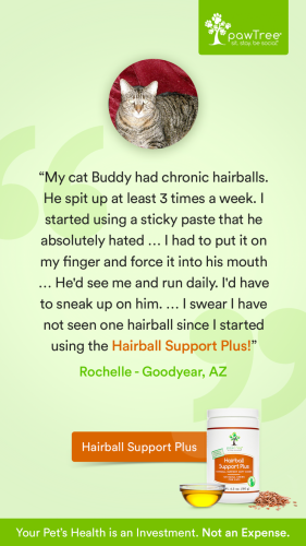 Hairball Support Plus Testimonial Story