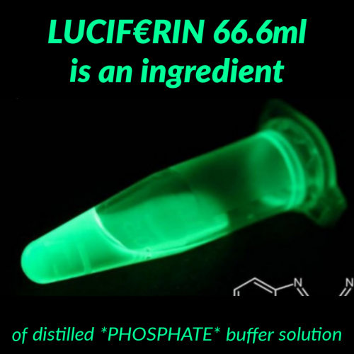 11:00:46 GMT-0400 (EDT)
