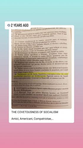 FB_IMG_1628209118398