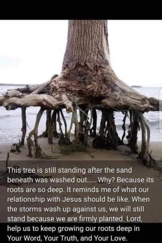 FB_IMG_1629209737503