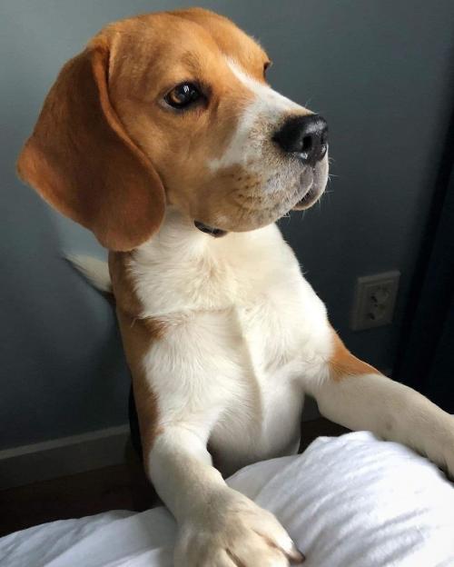 IMG_20210829_014306_608