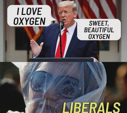 239390333_3058519501102242_2576756454218589683_n