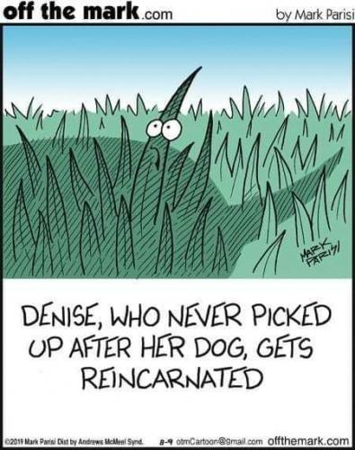 FB_IMG_1628828761880