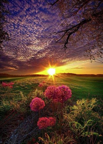 19:42:03 GMT-0500 (CDT)