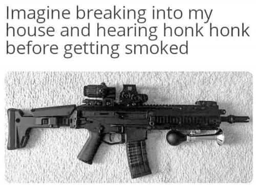 gun honk honk