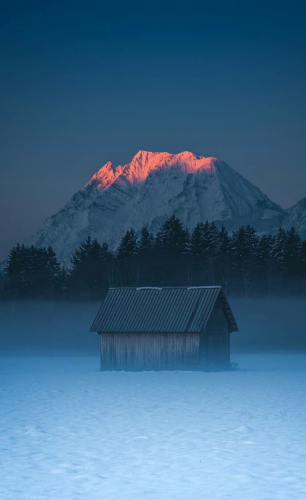 tumblr_2ce4434ad8c780a1cf4d230ea684d876_d248af10_640