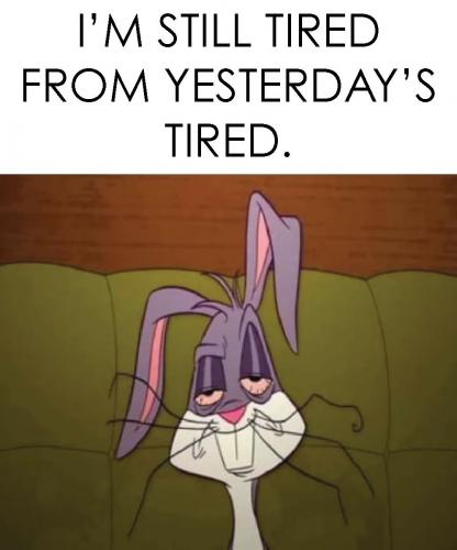 FB_IMG_1628543650518