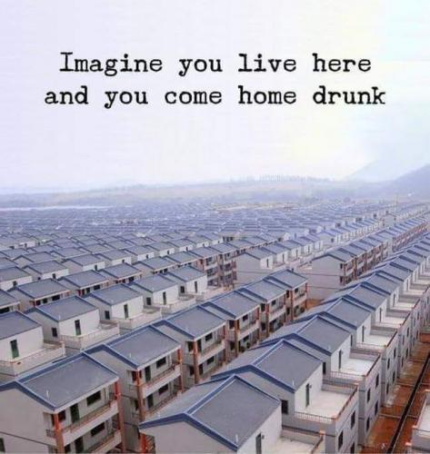 drunk live here