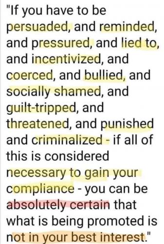 233552866_374566004300602_8628334429247885097_n