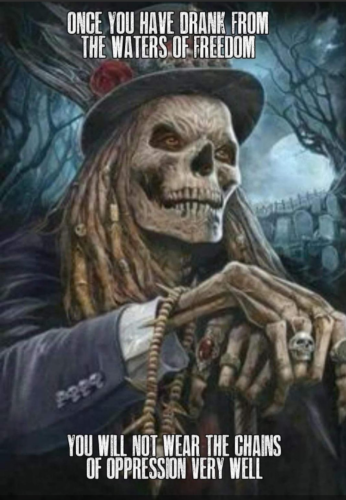 Screenshot_20210815-230308_(1)