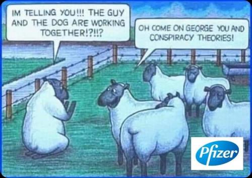 FB_IMG_1629936927482