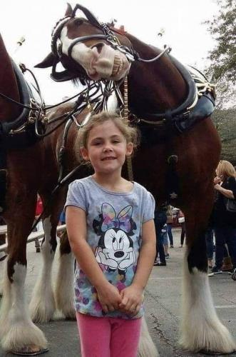 FB_IMG_1628185325616