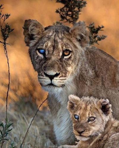 236885070_391931632310516_4481595130965809955_n