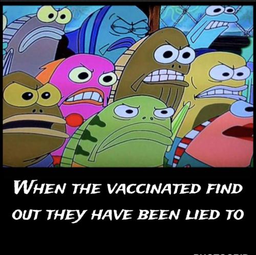 20:16:55 GMT-0500 (CDT).image