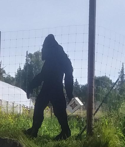 12:20:45 GMT-0800 (AKDT)