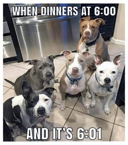 118254791_1338987713112478_7640800645277327136_n